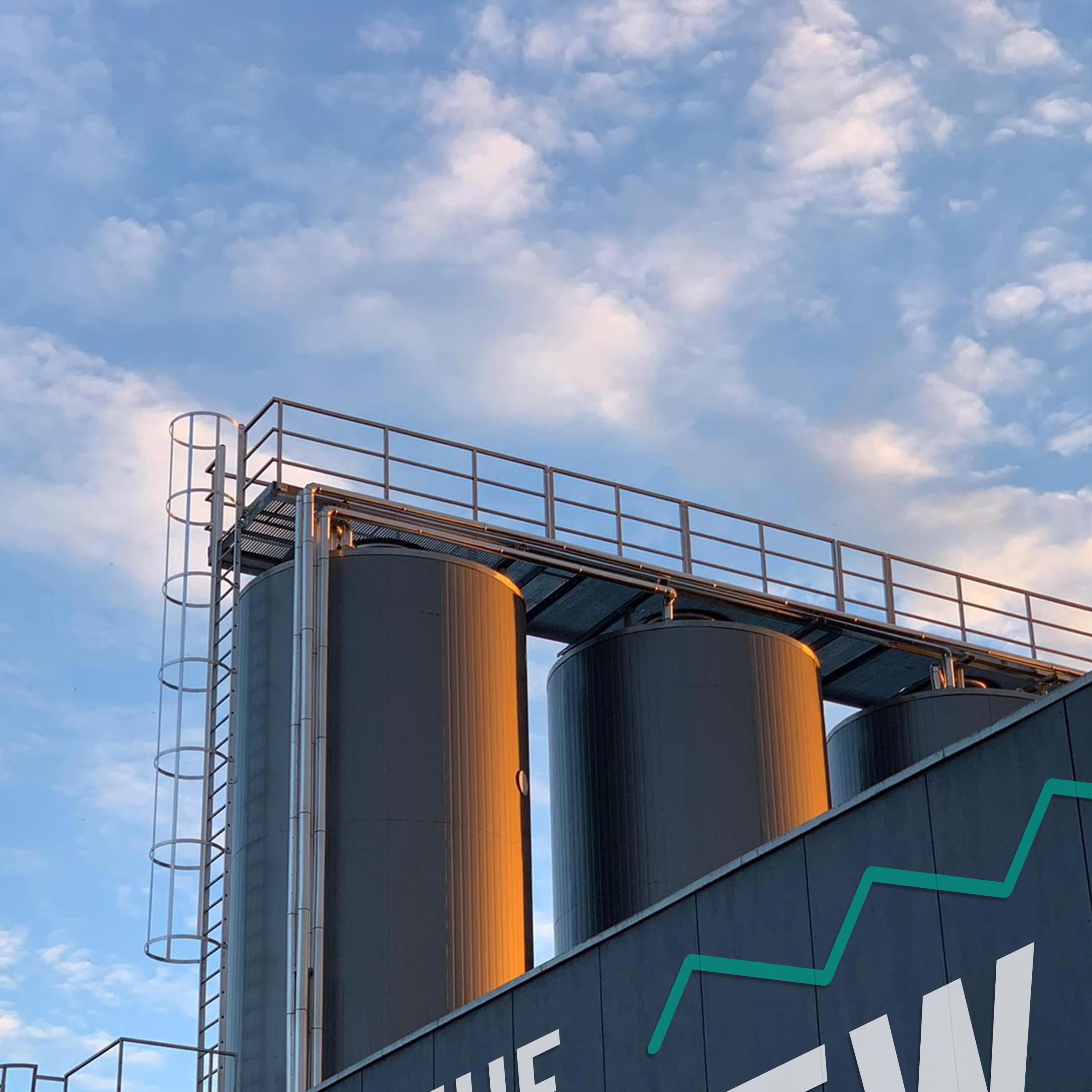 Gisten - The Brew Society Pas na de vergisting kunnen we spreken over bier. We voegen verse gist toe aan ons brouwsel, zo kunnen deze cellen alle suiker in het wort omzetten in alcohol en koolzuurgas.